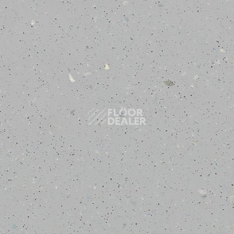 Линолеум Forbo SureStep Decibel 717286/7172862 silver grey фото 1 | FLOORDEALER